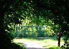 DSC_0083.JPG